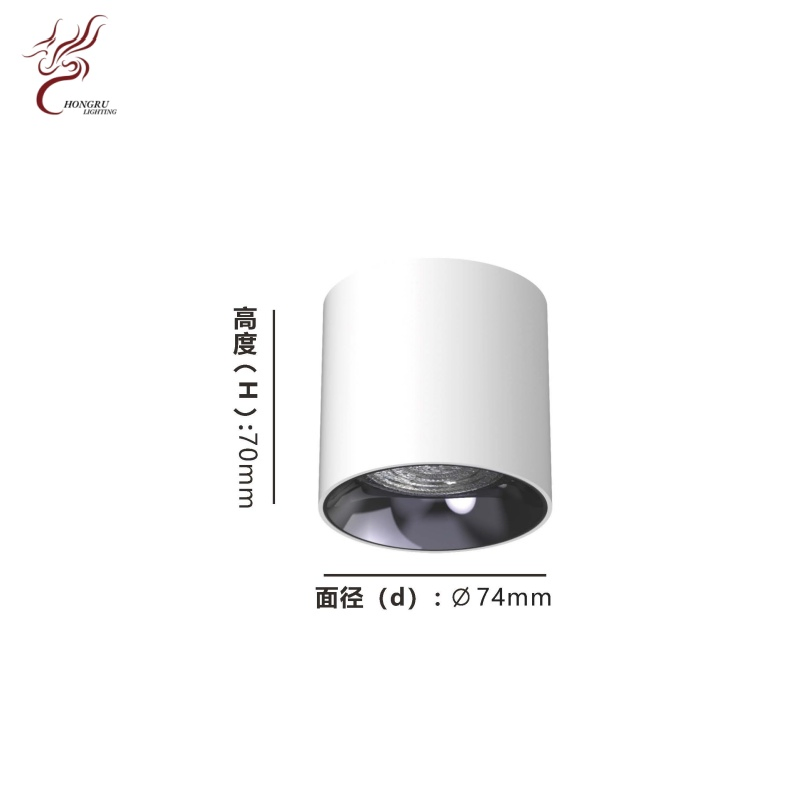 AC220V White Cylindrical LED Downlight, Aluminum Alloy Round Surface Mount Spotlight Commercial Household Ceiling Light