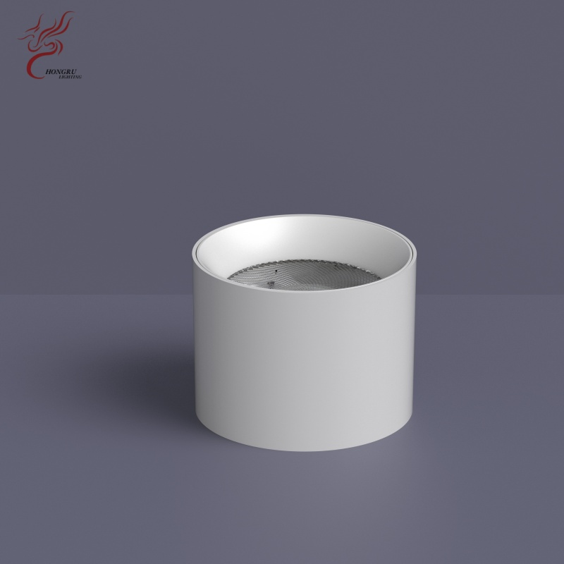 Aluminum Round Surface Mount LED Downlight, White Cylindrical LED Spotlight, AC220V Commercial Indoor Ceiling Lighting Lamp