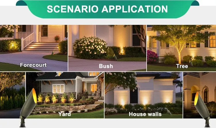 Outdoor Accent Lighting 9