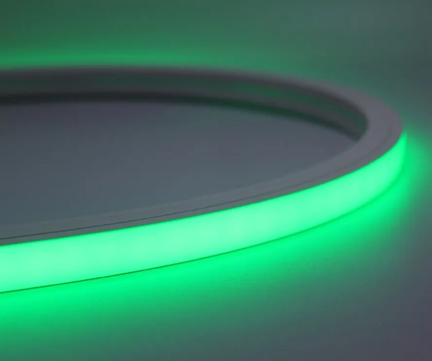 LED Neon Flex 5