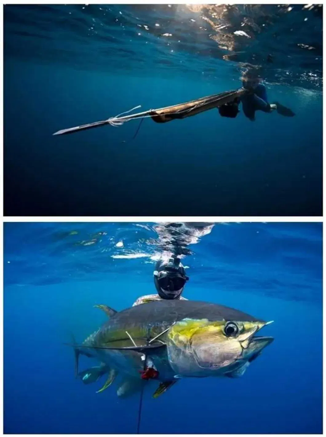 Industrial Applications