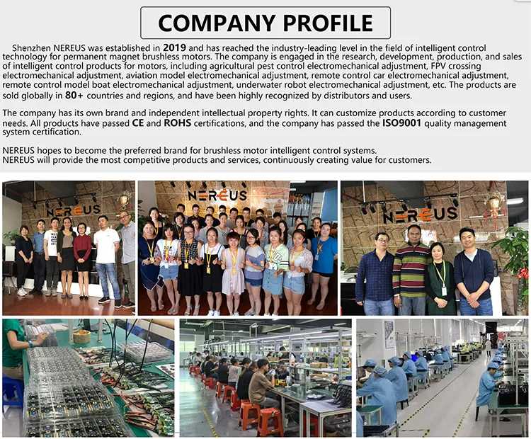 Mark4 Carbon Fiber Frame Detail