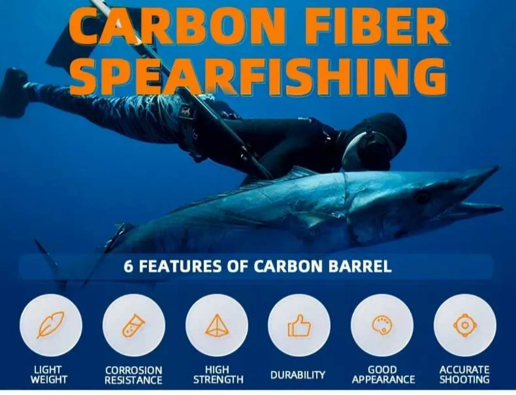 Carbon Fiber Rod Display