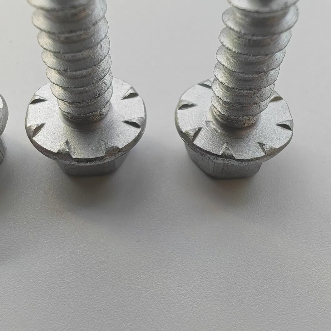 Triangular Tooth Detail