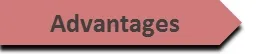 Service Advantages