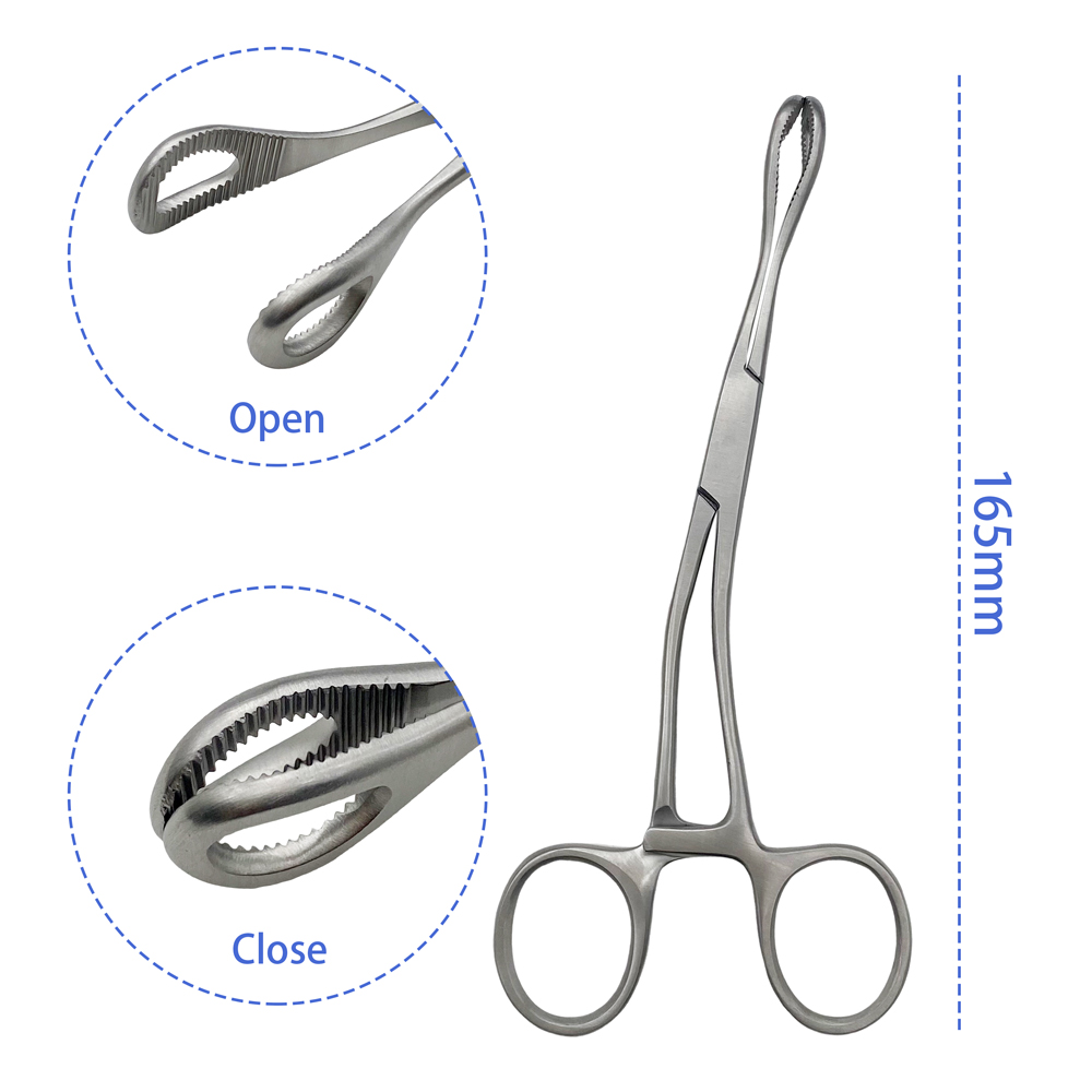 Stainless Steel BW Bone Forceps Guide Hole Reduction Forceps with Grooved bending Veterinary Instruments