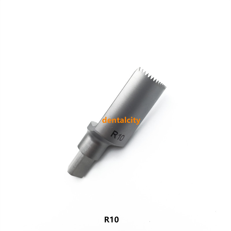 R10 Saw Blade