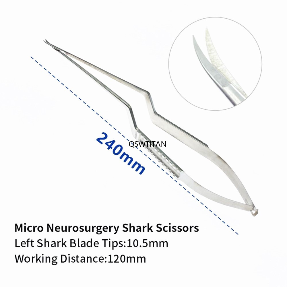 Stainless Steel Scissors