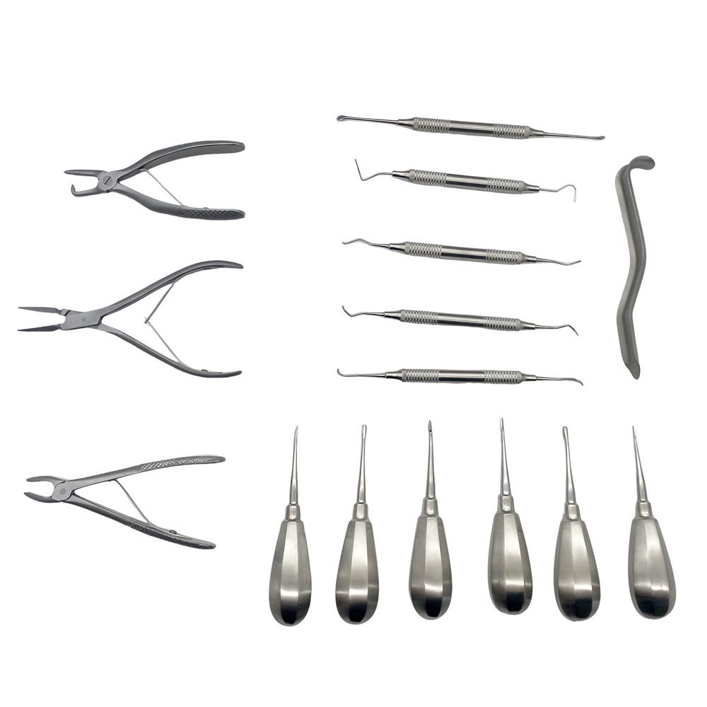 Small Animal Dentistry Winged Elevators Handle Dental Instruments Kit Veterinary Dental Surgery