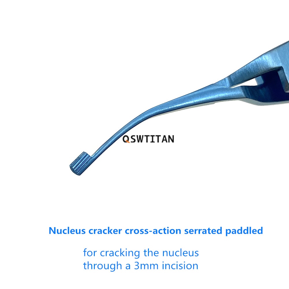 Ophthalmic Instrument View