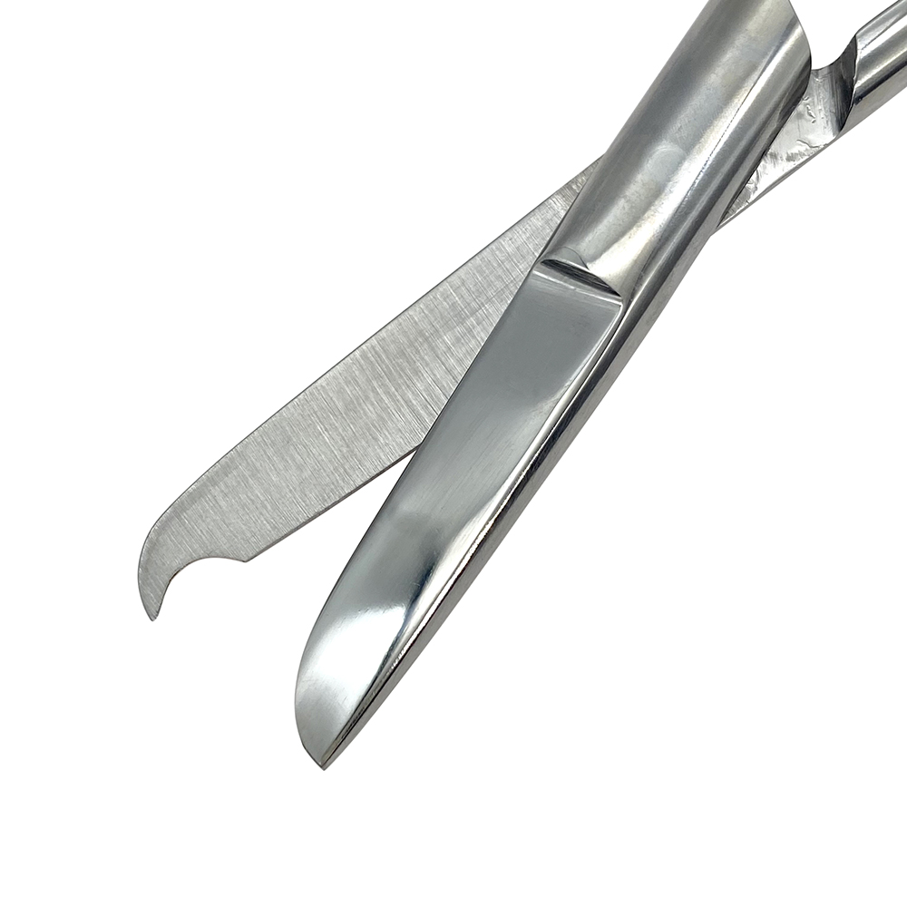 Stainless Steel Forging