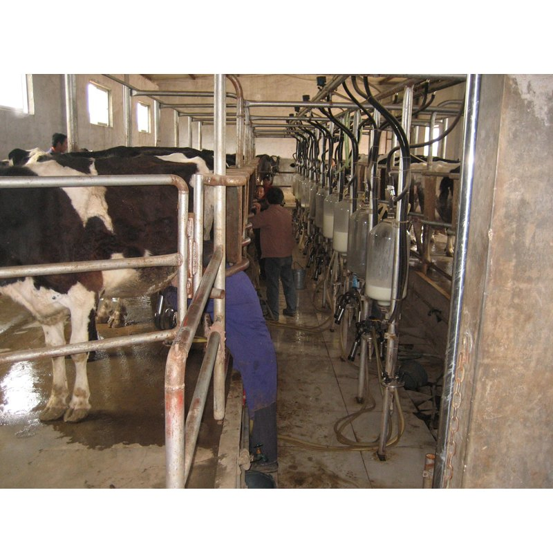 Fully Automatic Cow Milk Powder Production Line