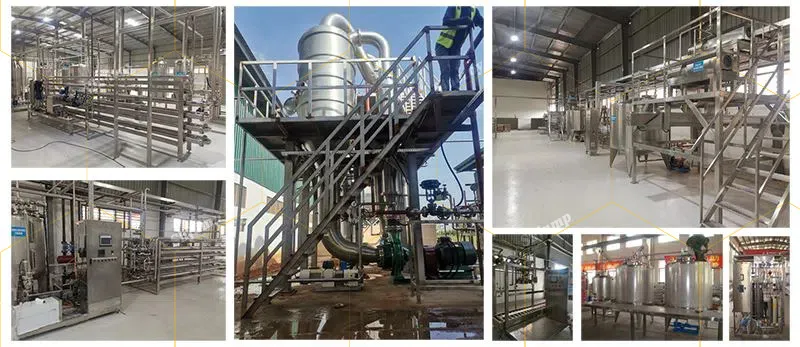 Kiwi Puree Processing System