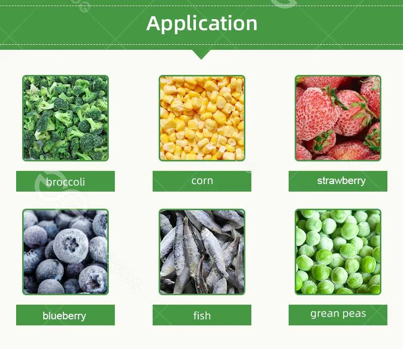 Freezing Processing Machine