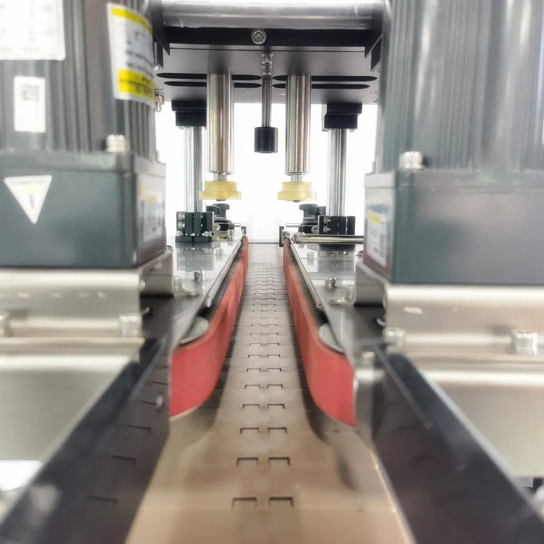 Automatic Capping Machine View 5