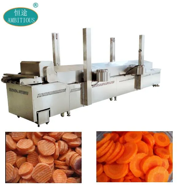 Continuous Blanching Machine
