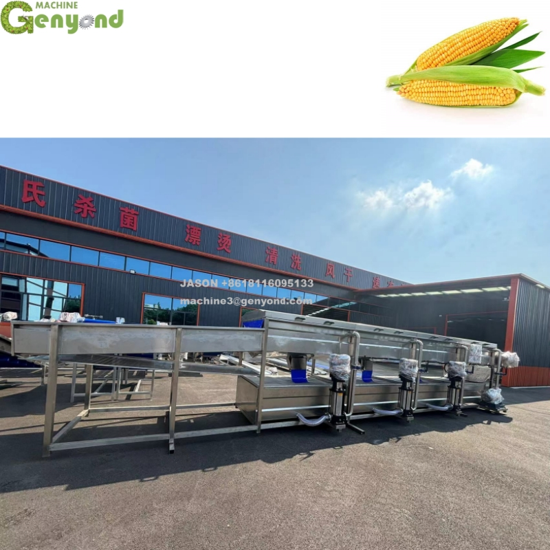 Continuous Fresh Sweet Corn Cooking Machine Sweet Corn Deep Processing Line