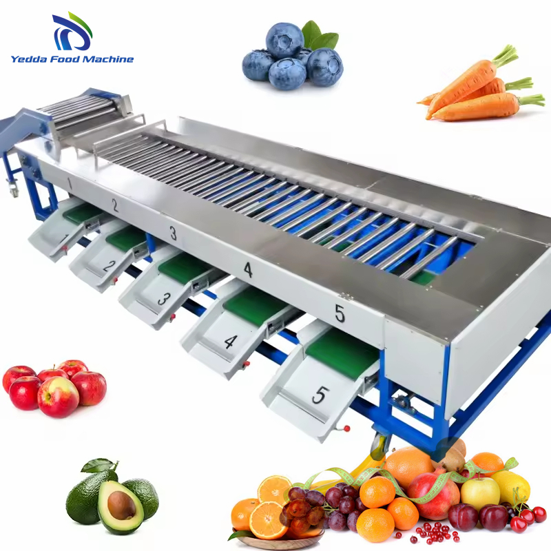 High-Performance Fruit and Vegetable Size Sorting System