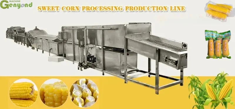 Fresh Sweet Corn Processing Line
