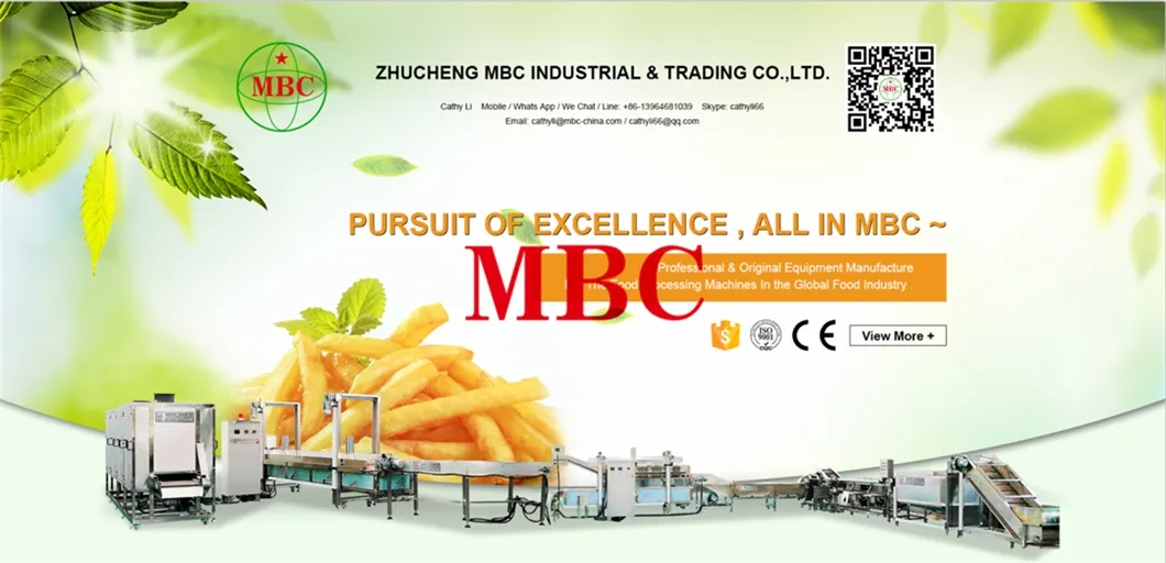 Automatic IQF Frozen French Fries Production Line Overview