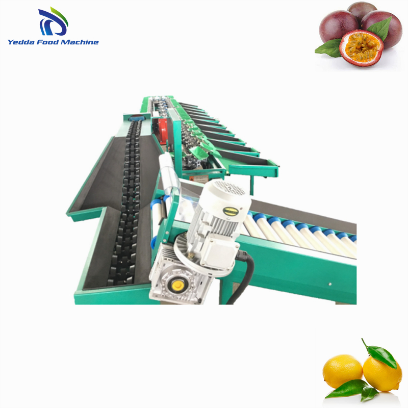 Avocado Grading System with Packing Features