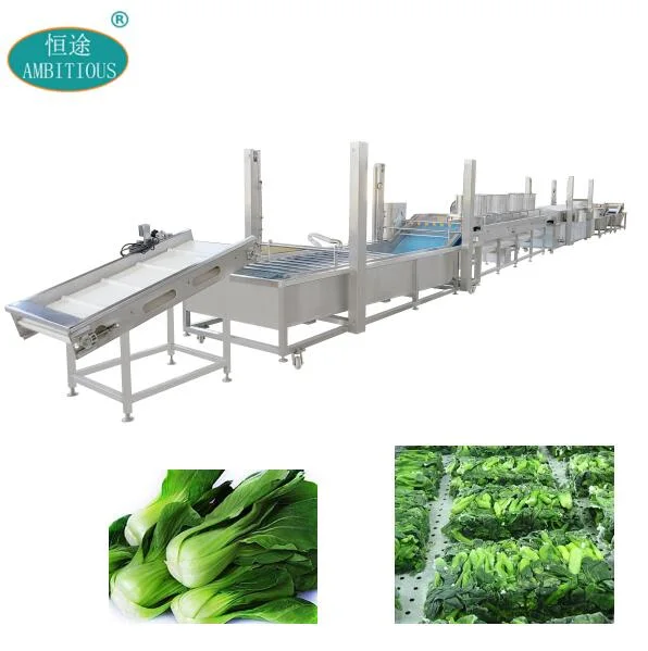 Vegetable Machine French Bean Washing Drying Blanching Cooling Line