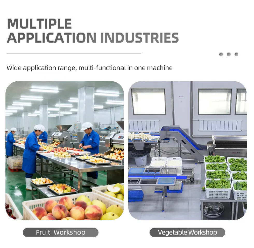 Production Line View 5