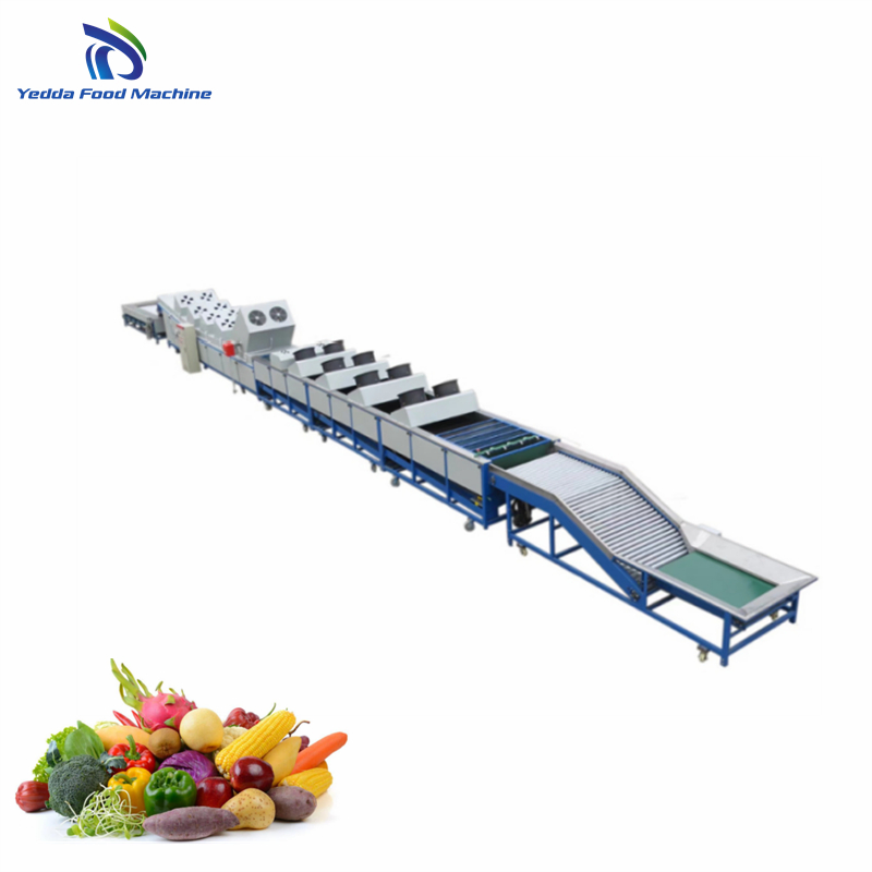 Automated Papaya Sorting and Grading System