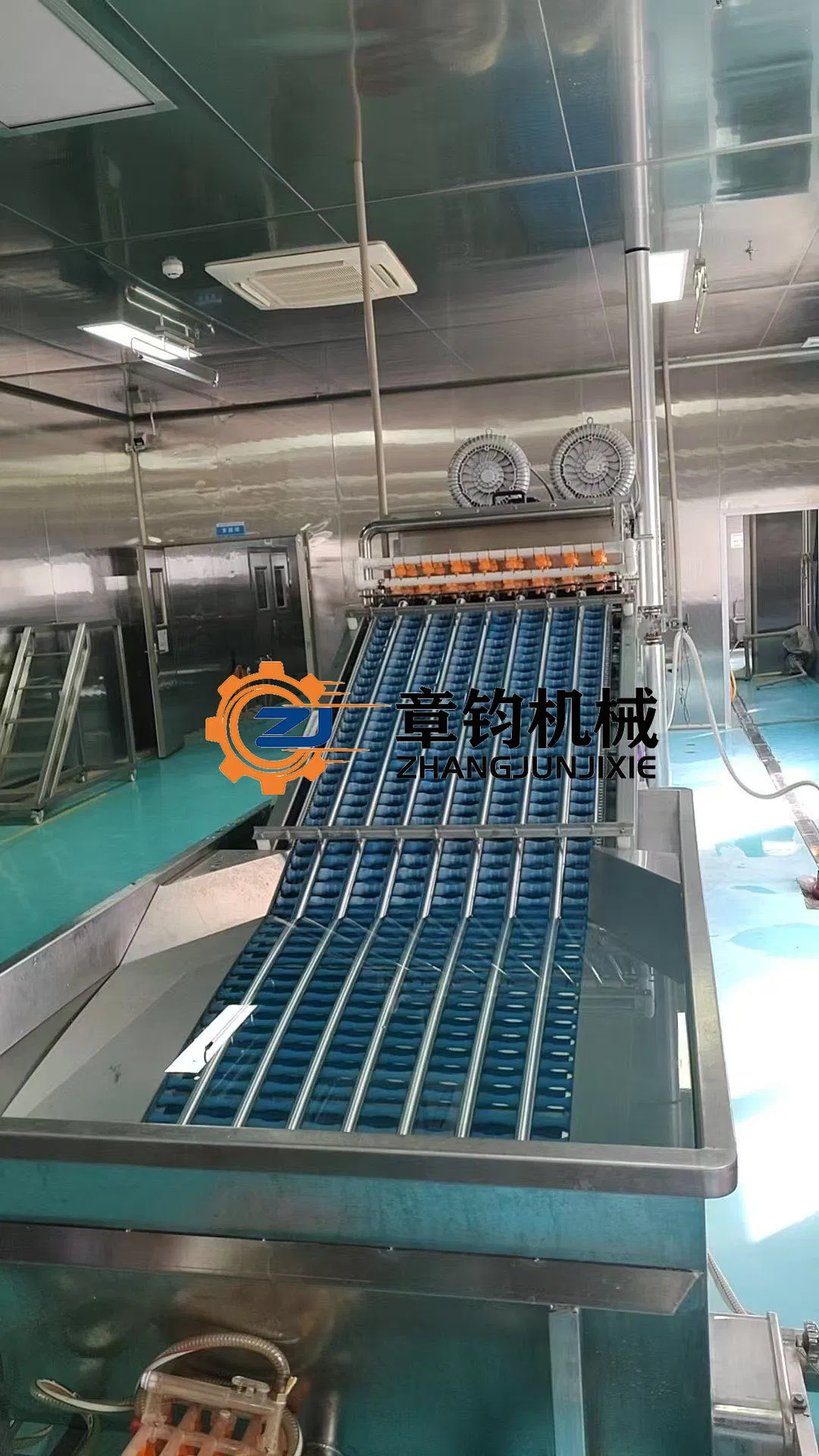 Advanced Pasteurized Egg Processing System with Customized Capacity Options