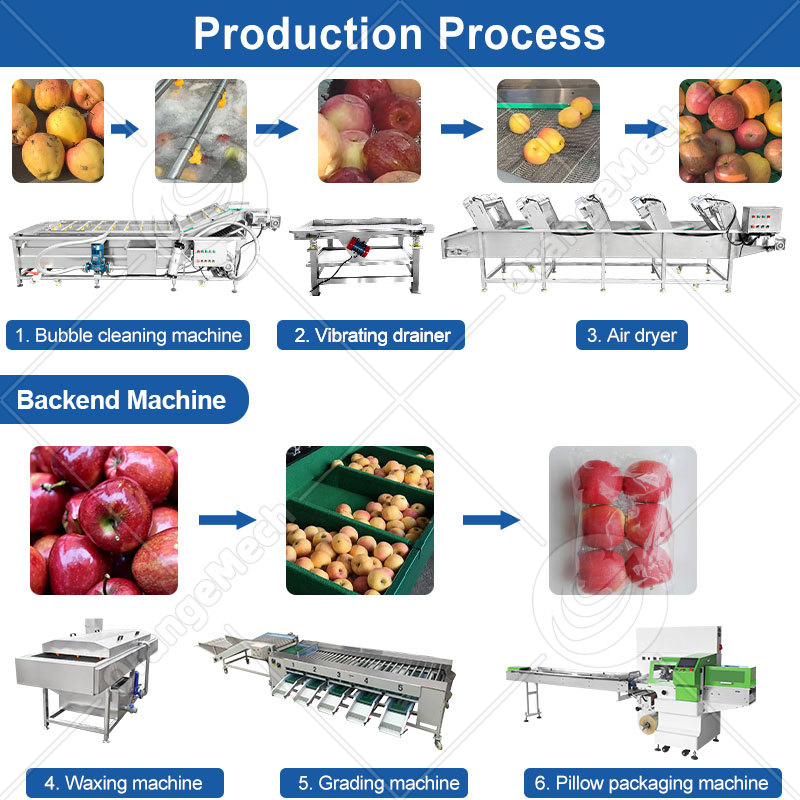 Mango Date Fruit Avocado Cleaning Potato Vegetable Wash and Peeling Cut Slice Grade Dying Wax Sort Machine