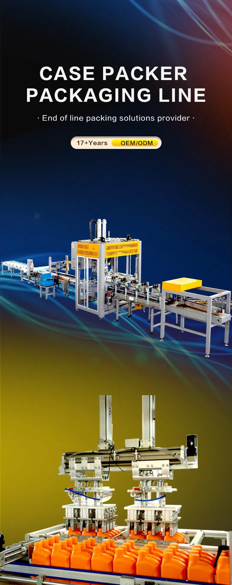 Carton Packer System 1