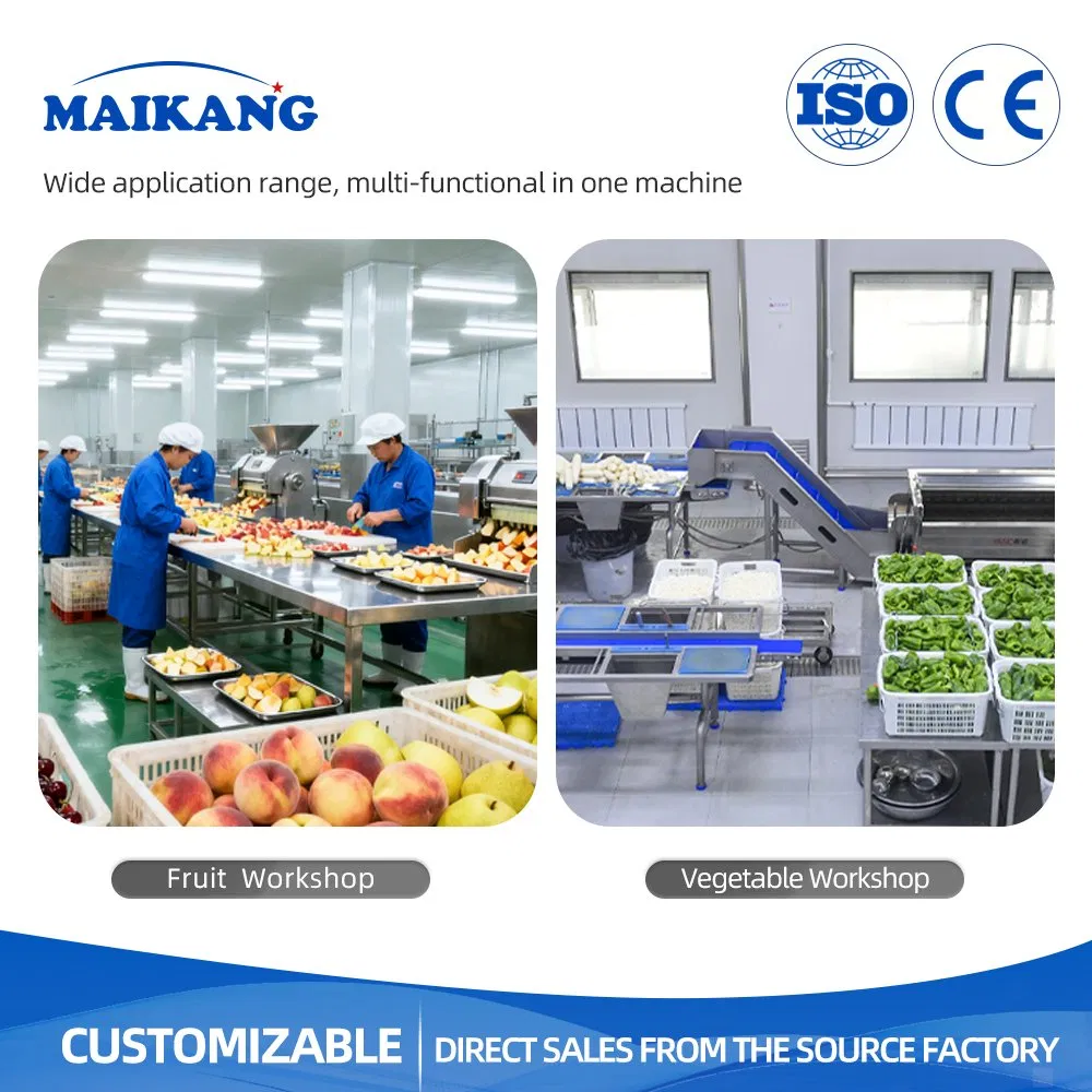 Food Beverage Factory Fruit Juice Production Line Juice Making Machine Juicer Extractor Line with Crushing Washing Line for Beverage Plant Ginger Tomato