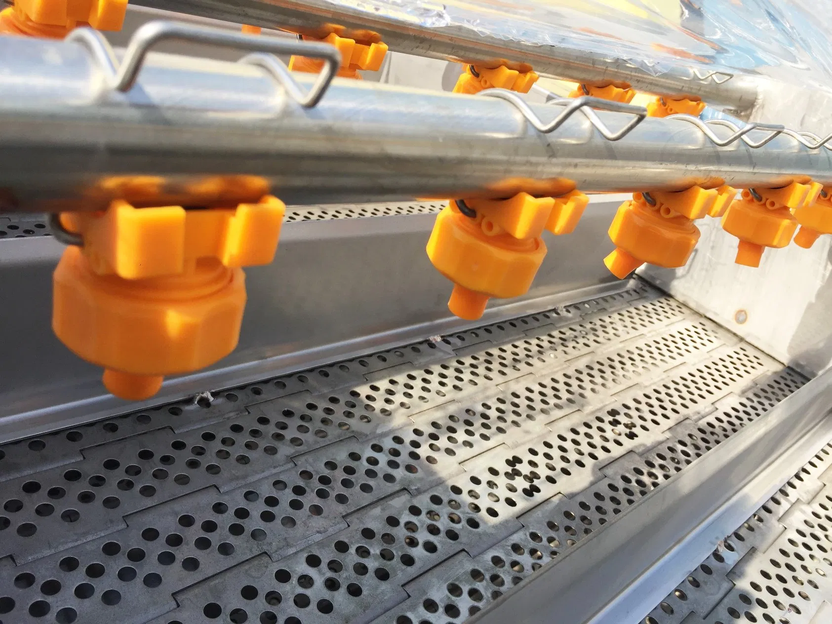 Spray Washers/Fruits and Vegetables Cleaning System