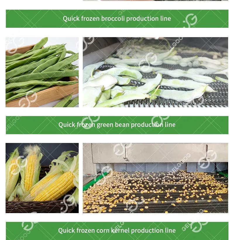 Processing Product 6