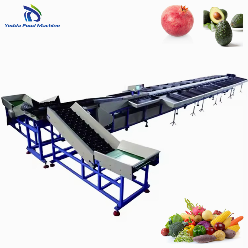 Avocado Grading System with Packing Features