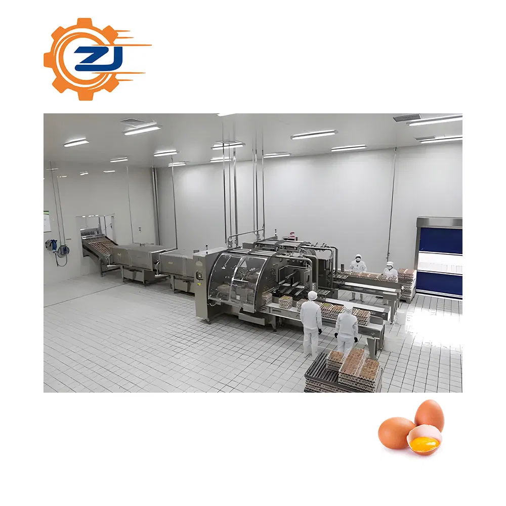 Advanced Egg Liquid Processing Equipment for Food Manufacturing