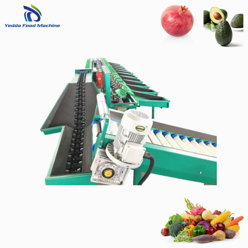 Avocado Grading System with Packing Features