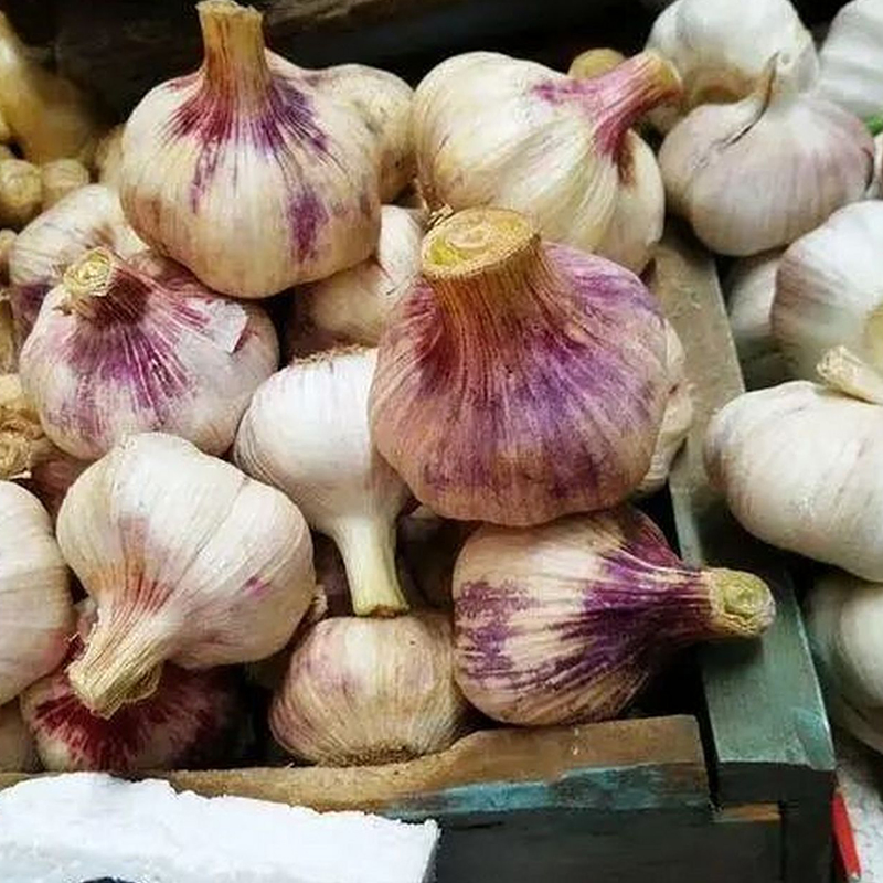 Efficient Packing Line Fast Processing High Output Capacity Normal Pure White/Red Fresh Garlic