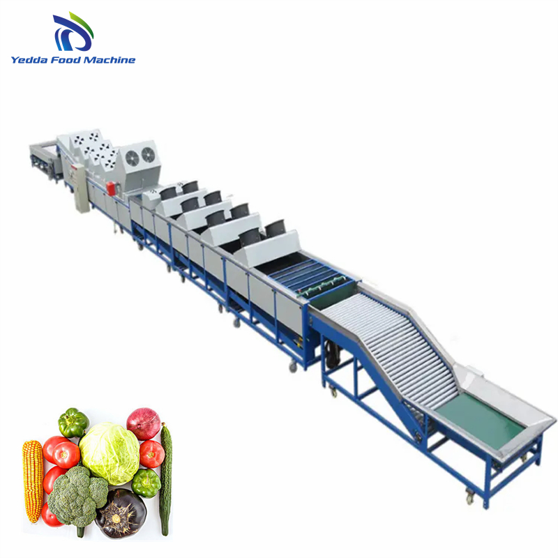 Advanced Automatic Fruit and Vegetable Quality Grading System