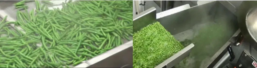 Vegetable Processing