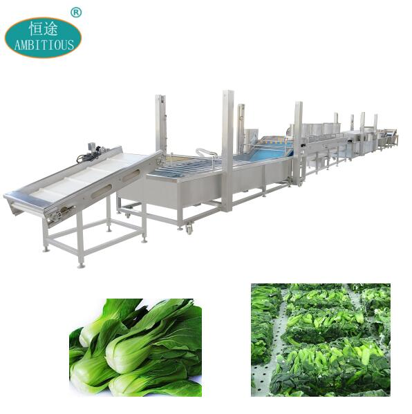 Broccoli Processing Line Vegetable Processing Machines