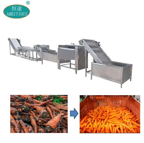 Carrot Processing Machine
