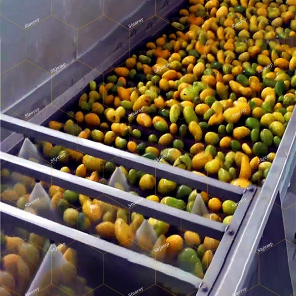 Brush Washer/Fruits and Vegetables Cleaning System