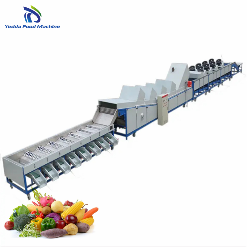 Stainless Steel Produce Grading System