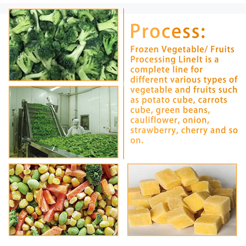 Commercial 500kg/1000kg/H Frozen Vegetable and IQF Fruit Processing and Packaging Production Quick Freezing Line
