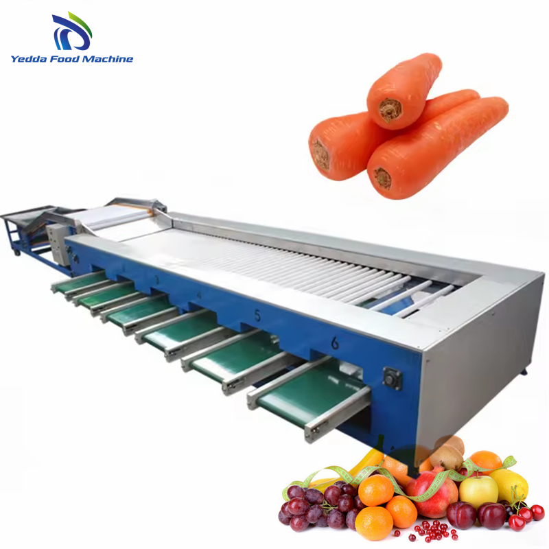 Advanced Premium Fruit Sorting and Packaging Technology System