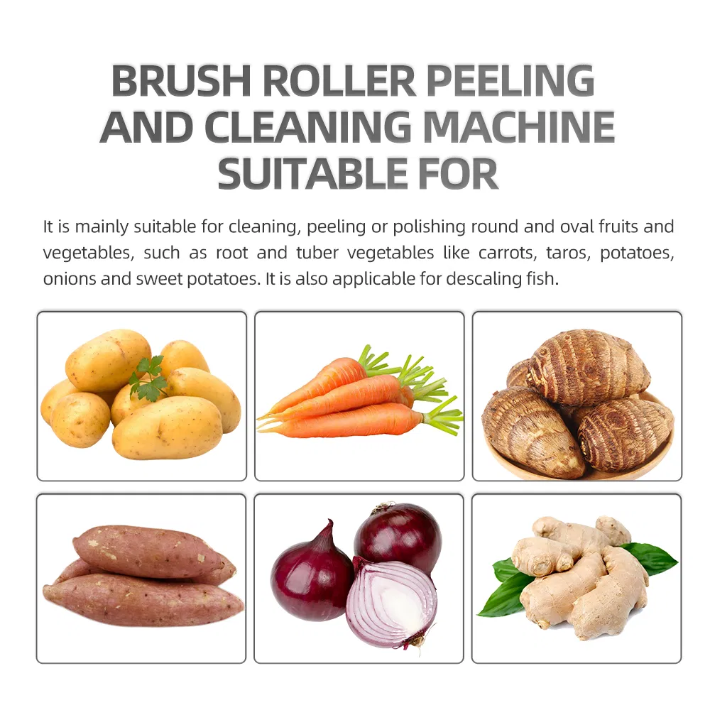 Root Vegetable and Fruit Brush Roller De-Mud and Peeling Cleaning Machine Is Suitable for Central Kitchen Factories and Can Automatically Discharge