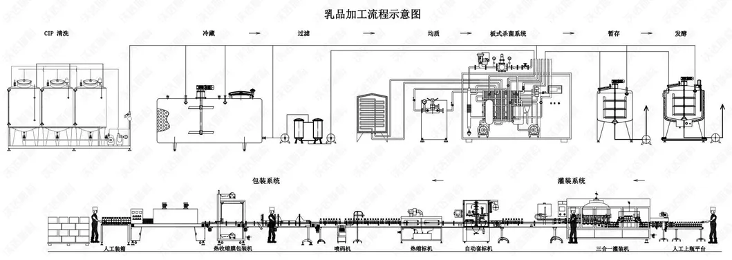 Dairy Processing Flow