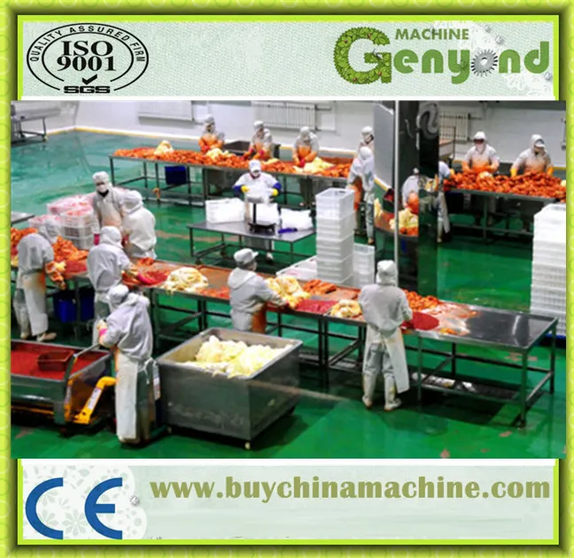 Pickle Processing Line