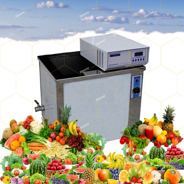 Ultrasonic Washer/Ultrasonic Cleaner/Fruits and Vegetables Cleaning System